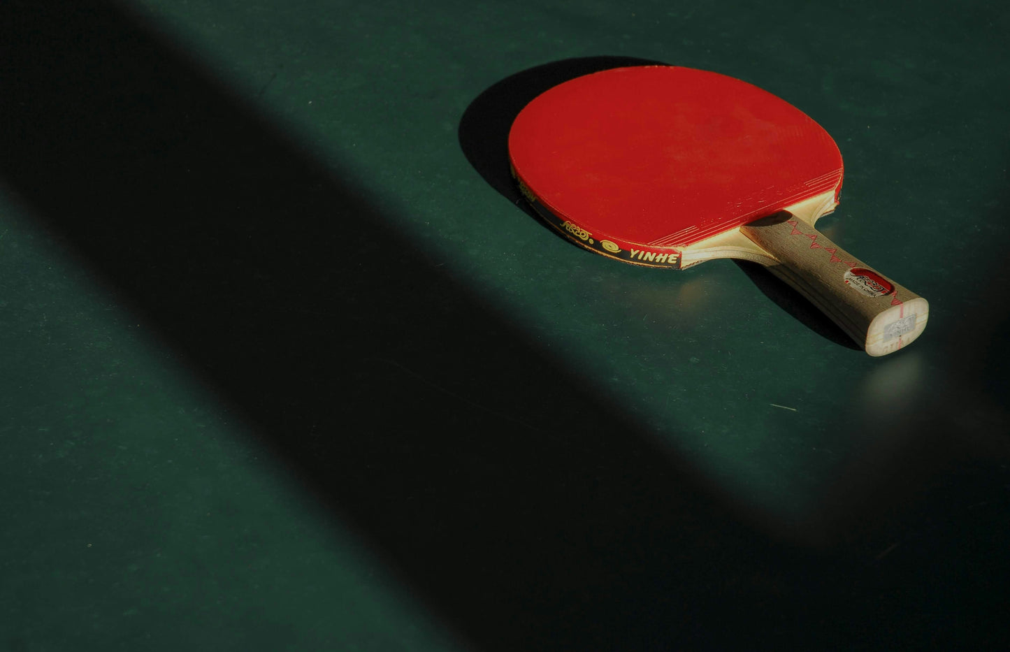 Newgy Robo Pong 1055 - Topspin Sports Ltd